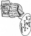 /album/caricaturas/img046-jpg/